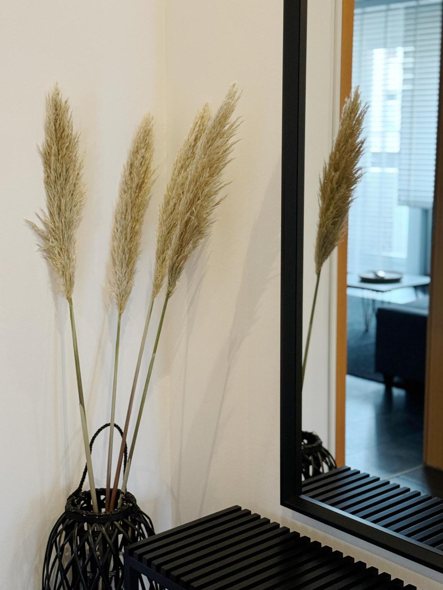 90M2 I Central I Netflix I Wifi I Free Parking I Lia Apartments Hannover Exterior foto